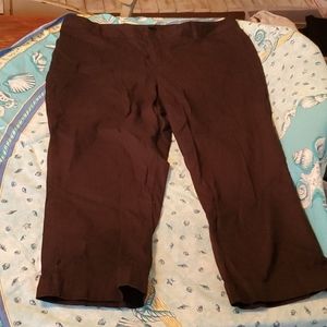 pants Bay Studio Capris